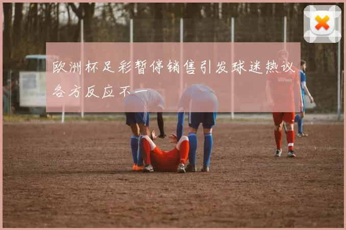 欧洲杯足彩暂停销售引发球迷热议各方反应不一