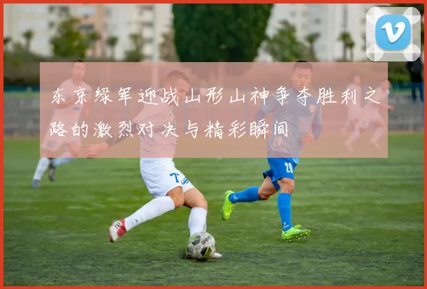 东京绿军迎战山形山神争夺胜利之路的激烈对决与精彩瞬间