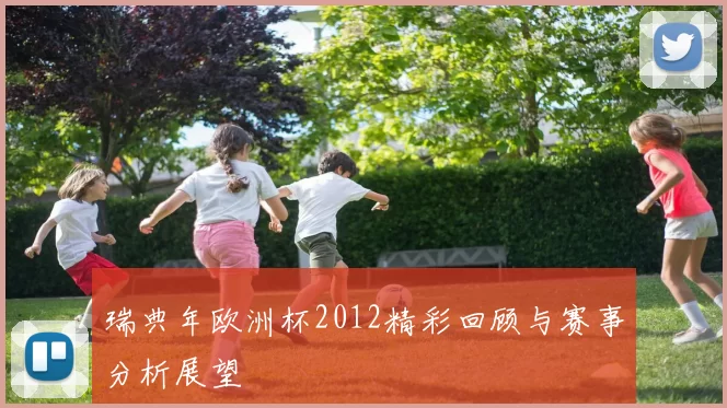 瑞典年欧洲杯2012精彩回顾与赛事分析展望